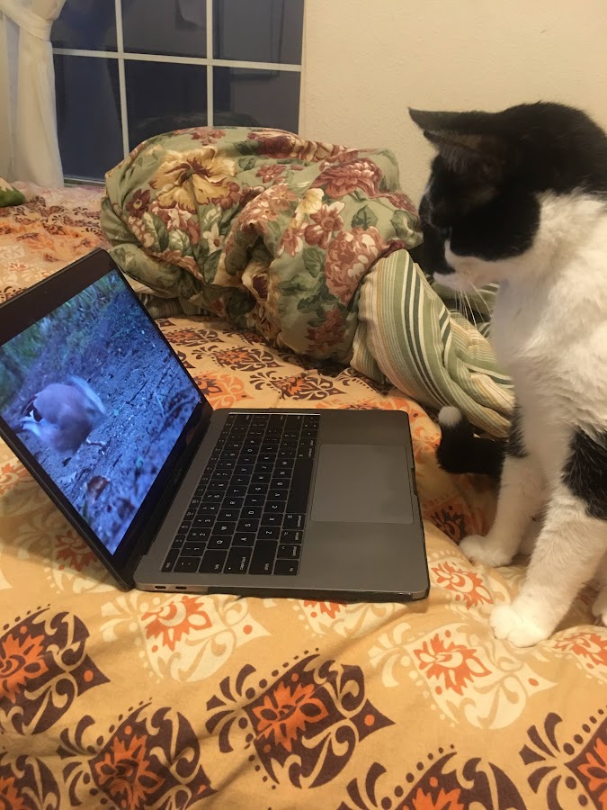 Alex Parker near an open laptop